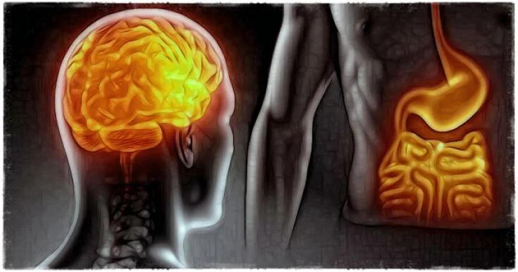 ghrelin for the body