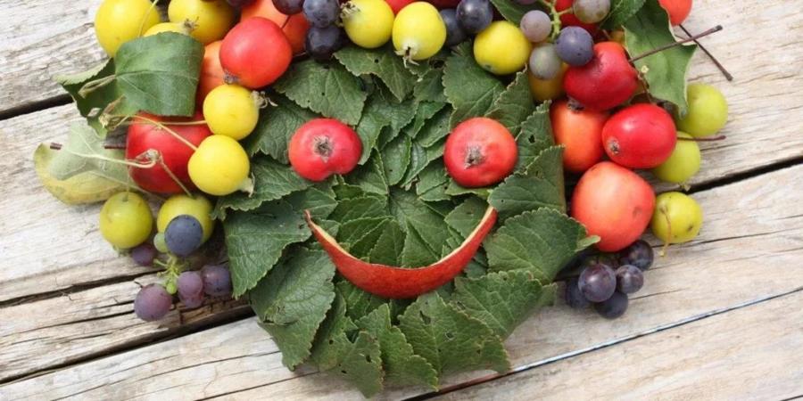 The Impact of Food on Our Emotional State