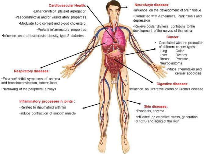 Fats in food products